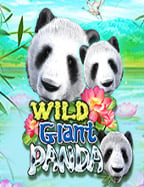 แนะนำ jili สล็อต เกมสนุกที่ไม่ควรพลาด